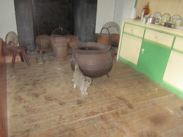 Our cat escort toured the entire folk park with us.